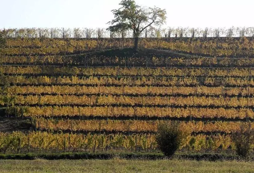 ホテル Casali Del Picchio   Winery