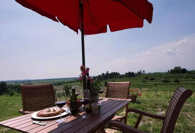 ホテル Casali Del Picchio   Winery