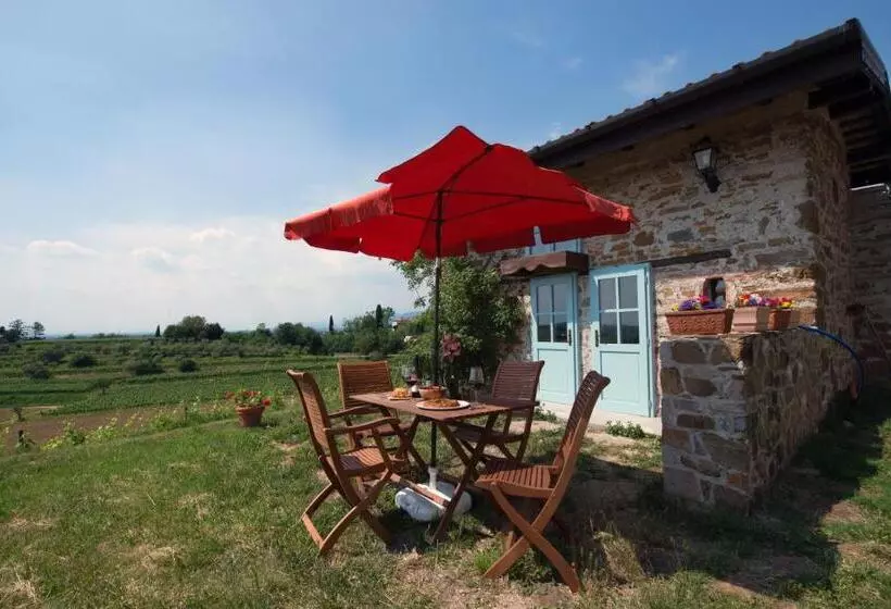 ホテル Casali Del Picchio   Winery