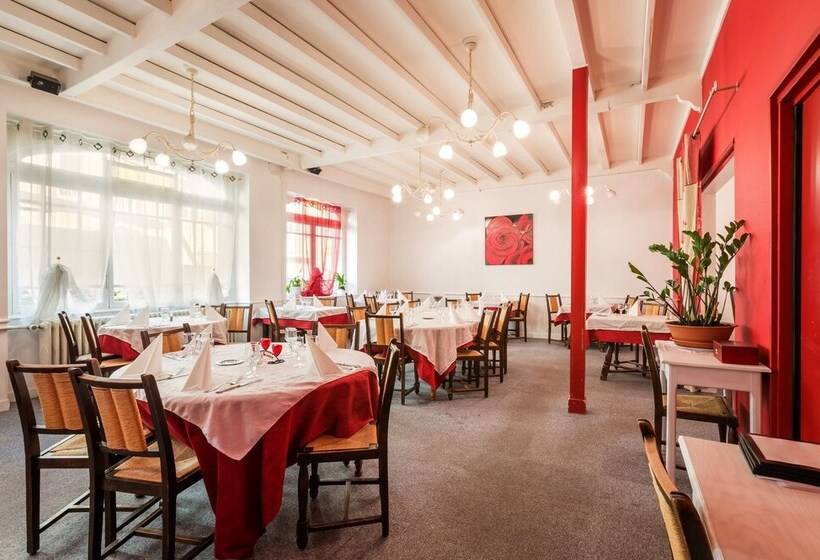 Logis Hotel Restaurant Le Cygne