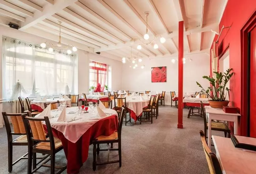 Logis Hotel Restaurant Le Cygne