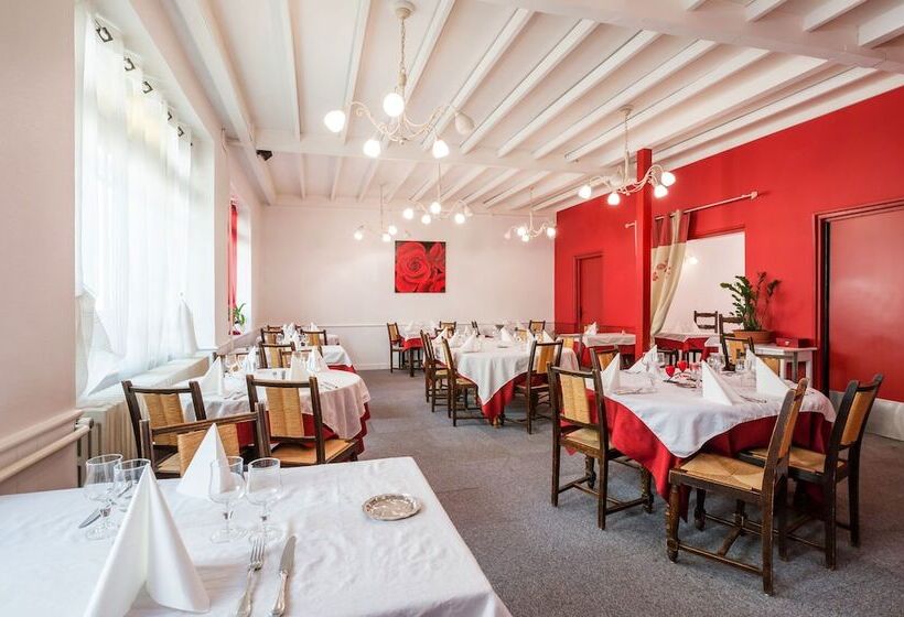 Logis Hotel Restaurant Le Cygne