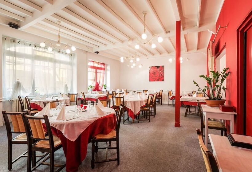 Logis Hotel Restaurant Le Cygne