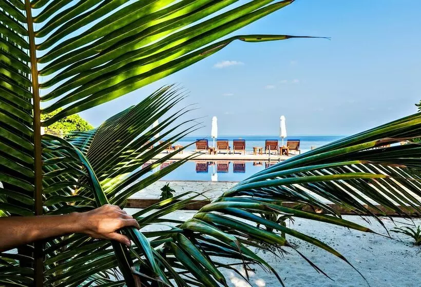 Hotelli Paradisus Grand Cana   All Inclusive