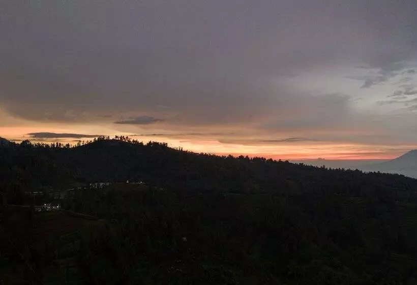 Hotel Plataran Bromo