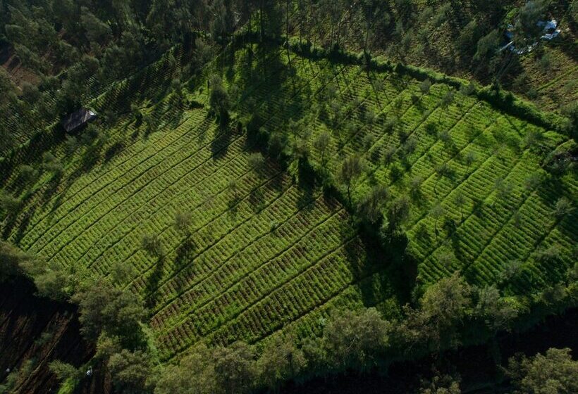 호텔 Plataran Bromo