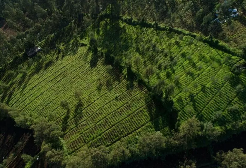 Hotel Plataran Bromo