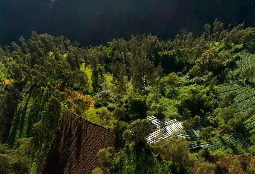 Hotel Plataran Bromo