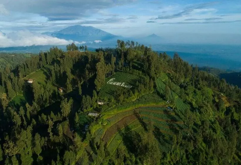 Hotel Plataran Bromo