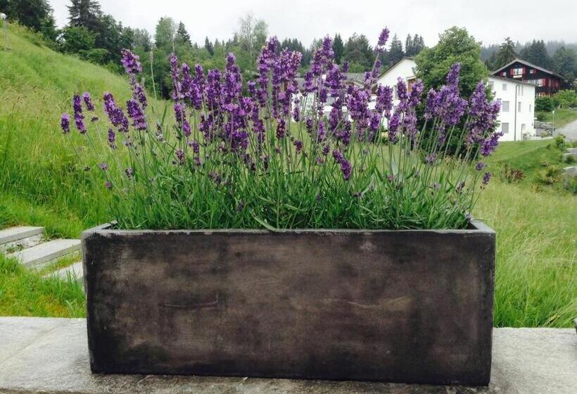 هتل Restaurant Chesa