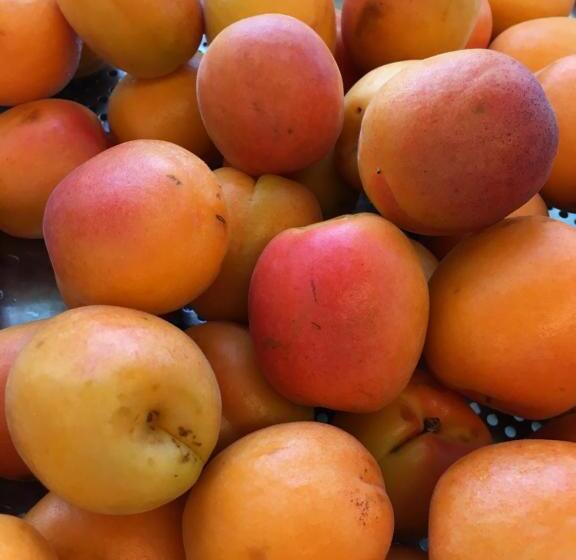 هتل Restaurant Chesa