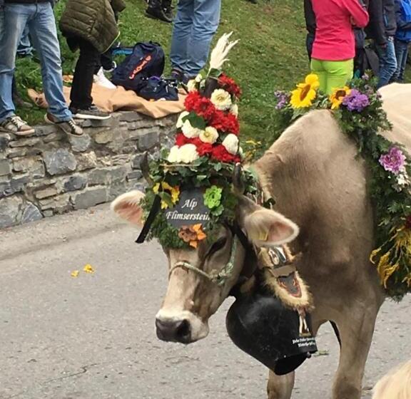 هتل Restaurant Chesa