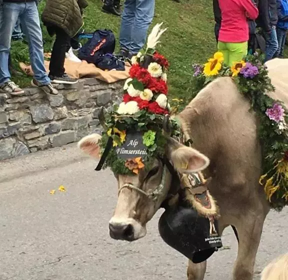 Hotelli Restaurant Chesa