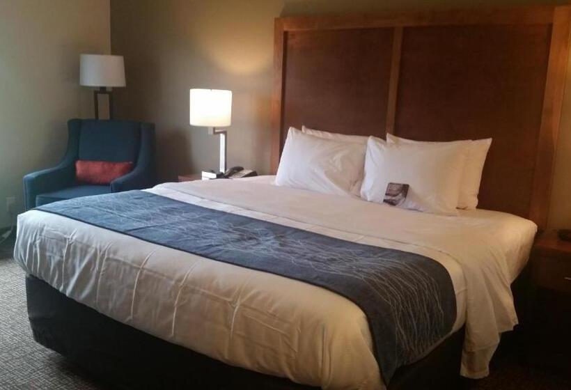 호텔 Comfort Inn White House