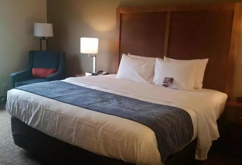 ホテル Comfort Inn White House