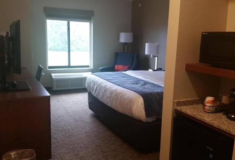 호텔 Comfort Inn White House