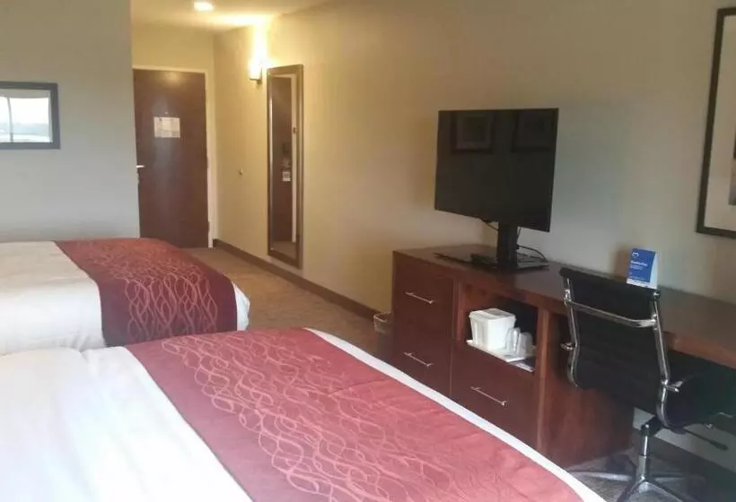ホテル Comfort Inn White House