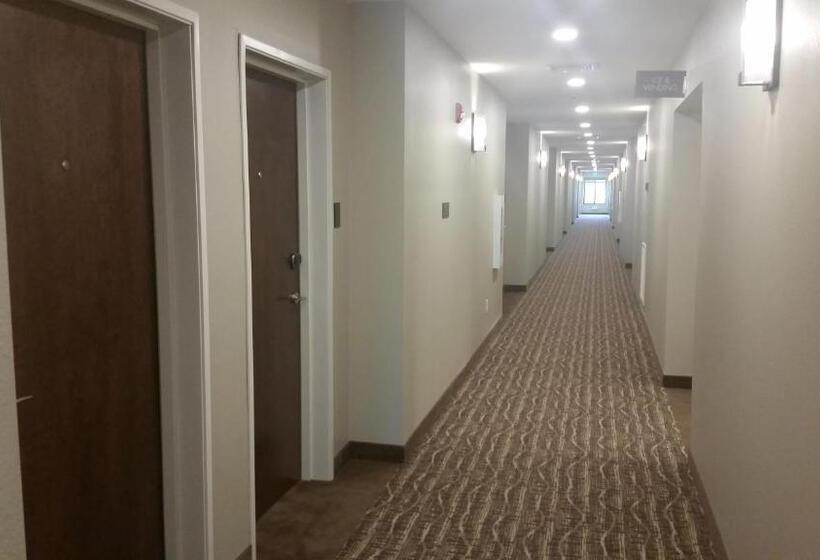 호텔 Comfort Inn White House