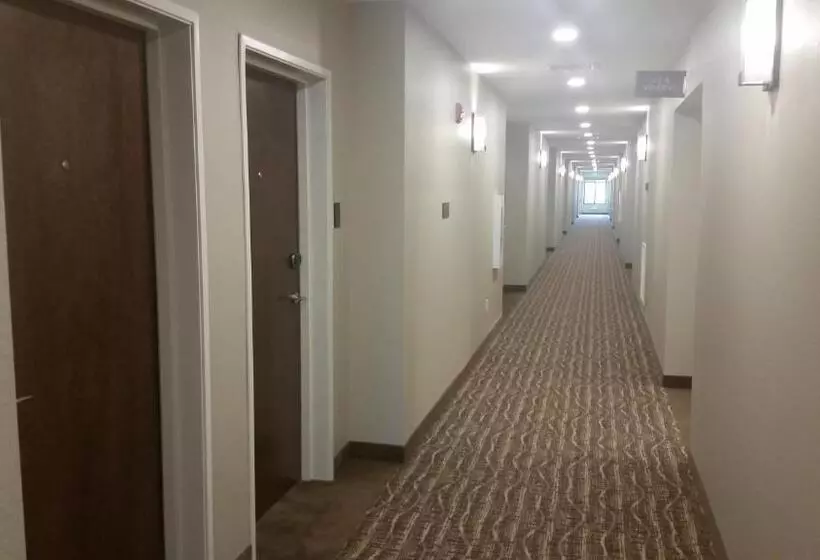 ホテル Comfort Inn White House