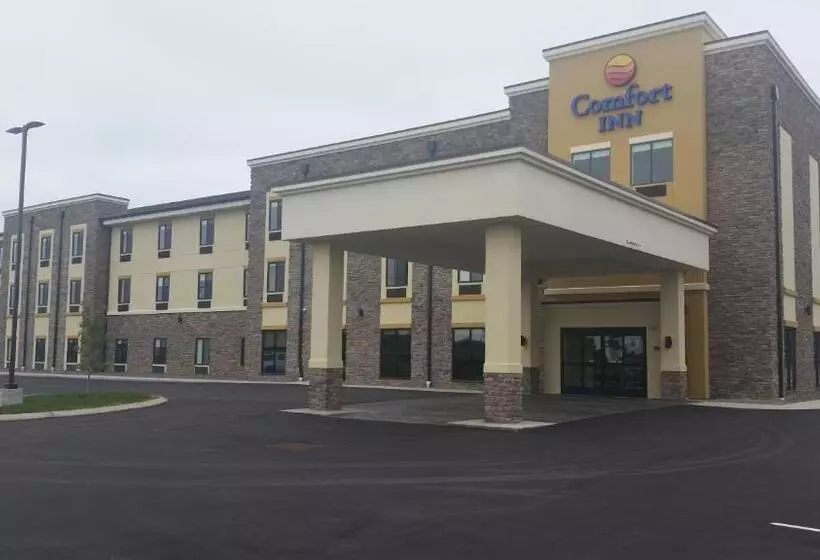 ホテル Comfort Inn White House
