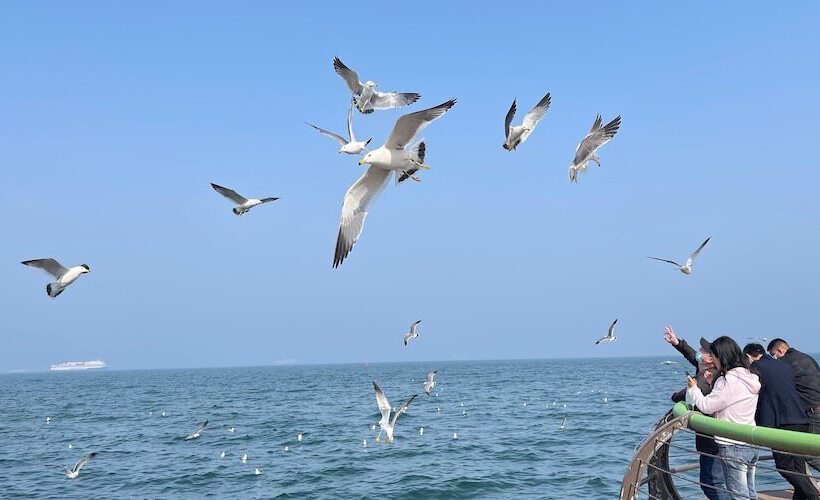 فندق Crowne Plaza Dalian Sports Center, An Ihg