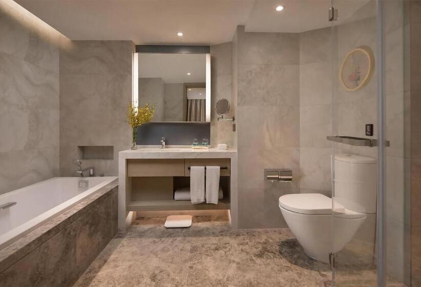 ホテル Holiday Inn   Nanjing South Station, An Ihg