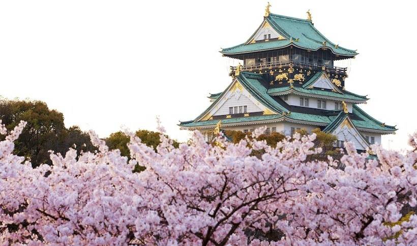 酒店 Sotetsu Fresa Inn Kitahama