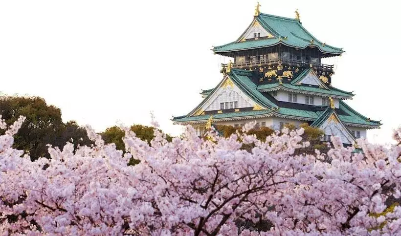 ホテル Sotetsu Fresa Inn Kitahama