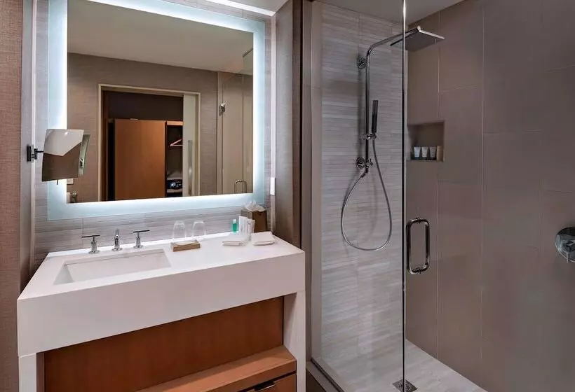 هتل The Westin Irving Convention Center At Las Colinas