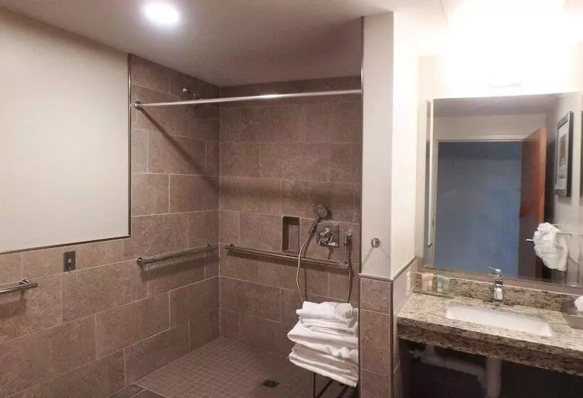 ホテル Wyndham Garden State College