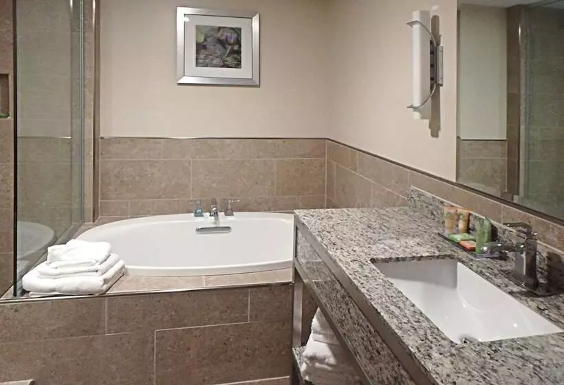 ホテル Wyndham Garden State College