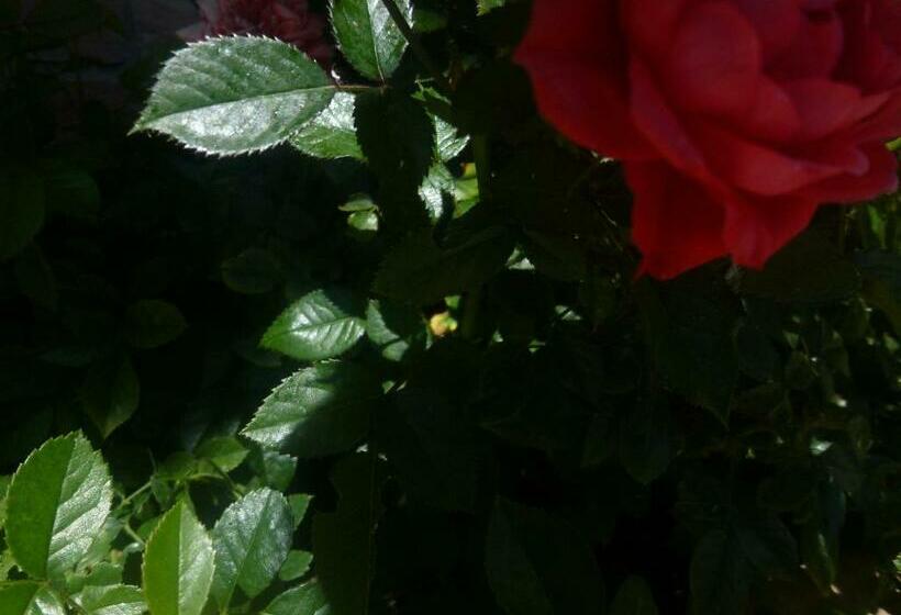 تختخواب و صبحانه Casa Campiglione