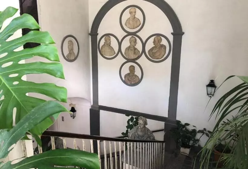 مسافرخانه Chiaia Guest House