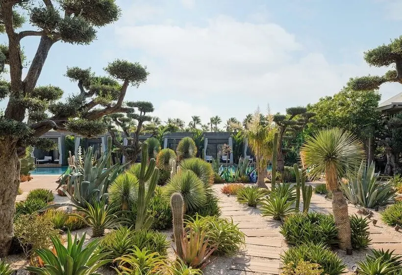Hotelli Biblos Resort Alaçatı