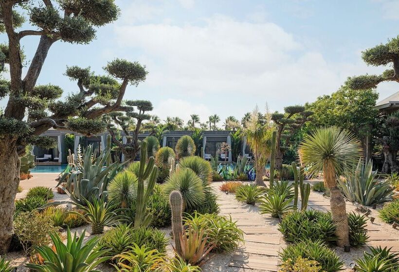 Hotel Biblos Resort Alaçatı