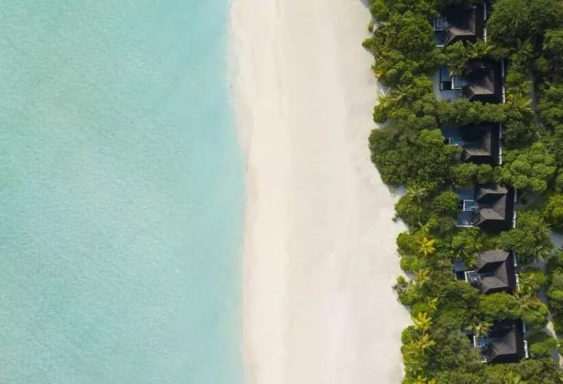 هتل Kuredhivaru Resort & Spa Maldives