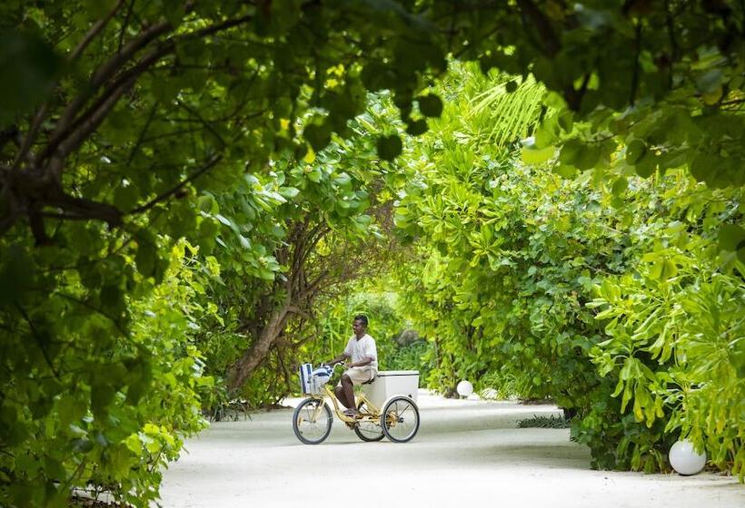 هتل Kuredhivaru Resort & Spa Maldives