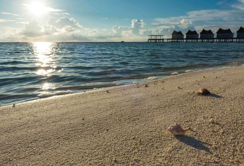 هتل Kuredhivaru Resort & Spa Maldives