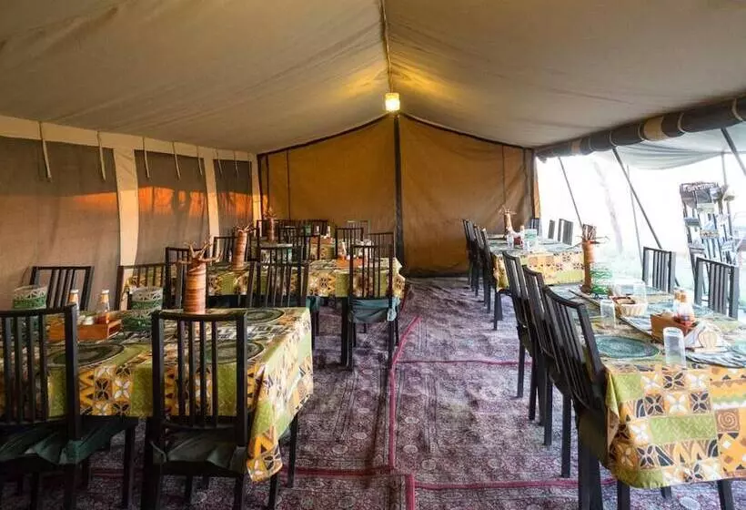 ホテル Serengeti Wildebeest Camp