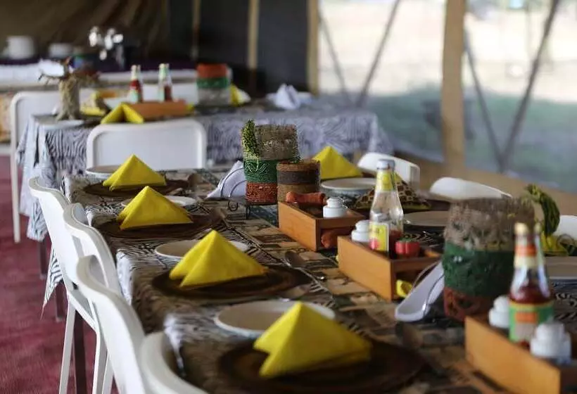 ホテル Serengeti Wildebeest Camp