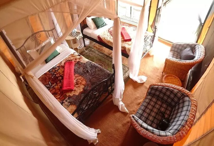 ホテル Serengeti Wildebeest Camp