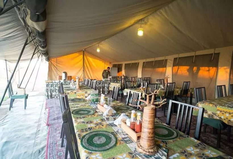 ホテル Serengeti Wildebeest Camp