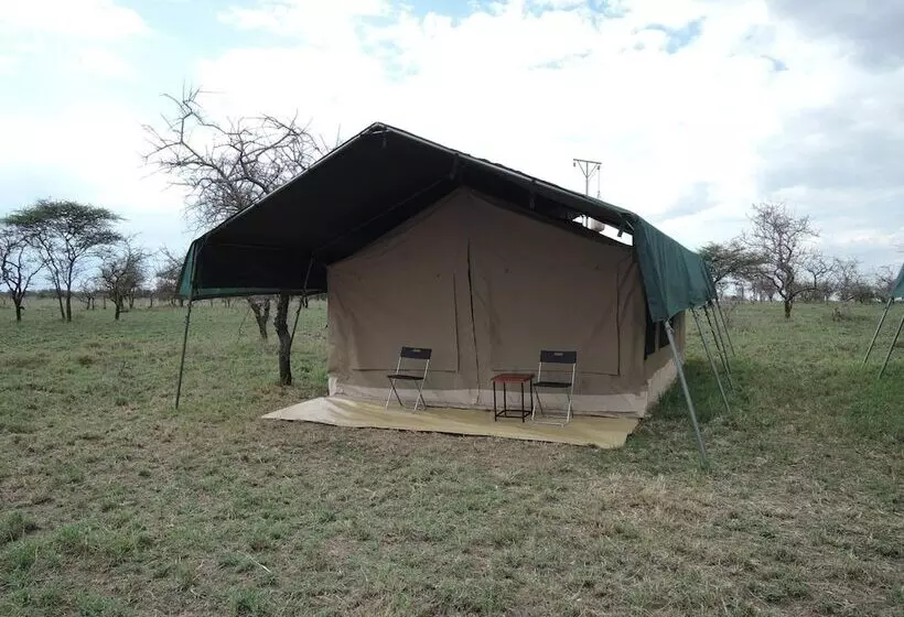 ホテル Serengeti Wildebeest Camp