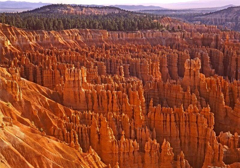 فندق Staybridge Suites St George, An Ihg