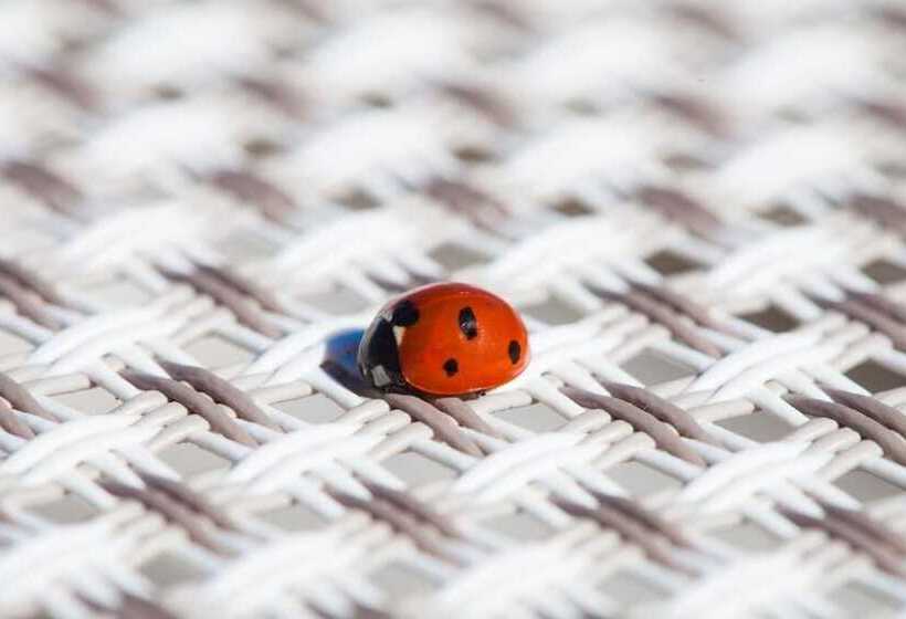 בית מלון כפרי Zeus