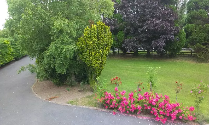 ベッドアンドブレックファースト Pill Lodge Farmhouse