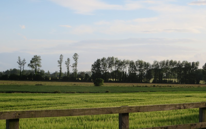 ベッドアンドブレックファースト Pill Lodge Farmhouse