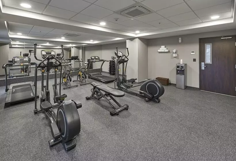 ホテル City Express Plus By Marriott Tampico