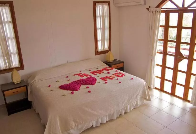 Hotelli Galapagos Suites B&b