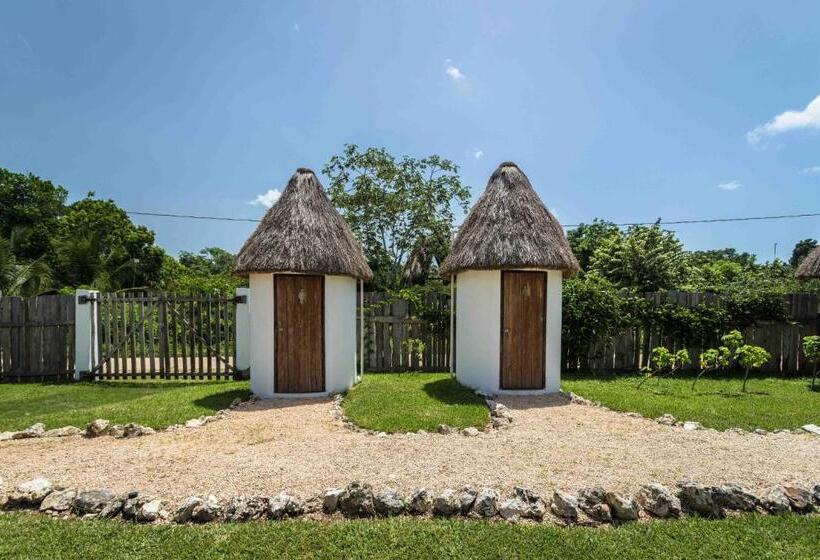 فندق Reserva Nativa